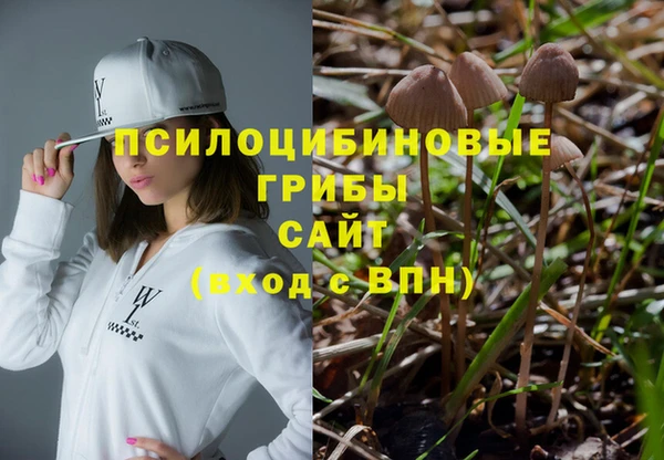стафф Елабуга