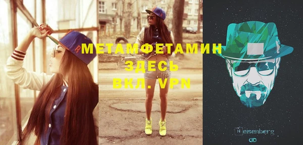 ПСИЛОЦИБИНОВЫЕ ГРИБЫ Дмитриев